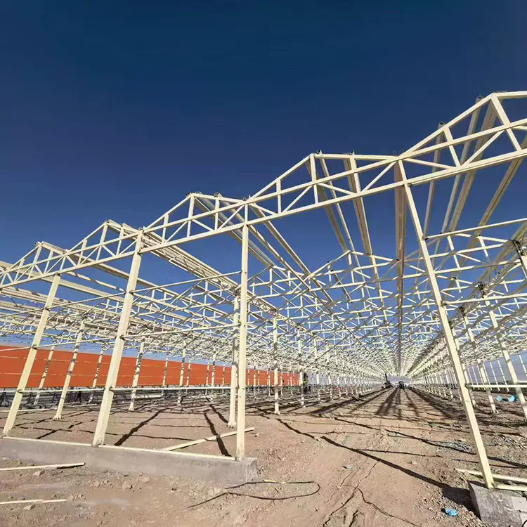 Неліктен мырышталған болаттан жасалған жылыжай қаңқасы заманауи ауыл шаруашылығы үшін ең жақсы таңдау болып табылады?